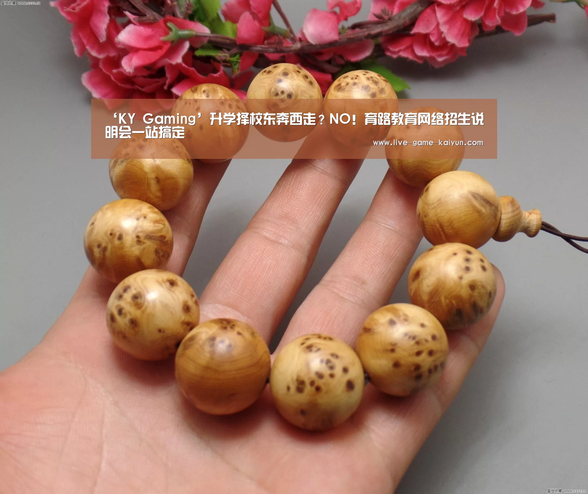 ‘KY Gaming’升学择校东奔西走?NO!育路教育网络招生说明会一站搞定(图1) 开云体育官网