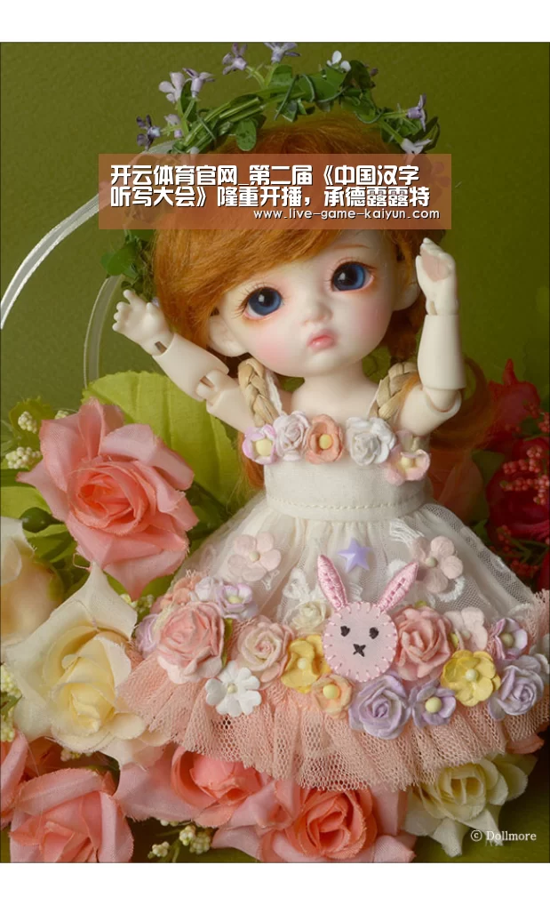开云体育官网_第二届《中国汉字听写大会》隆重开播,承德露露特约赞助(图2) 开元棋牌网址