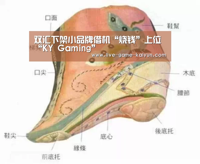 双汇下架小品牌借机“烧钱”上位“KY Gaming”(图2) KY Gaming