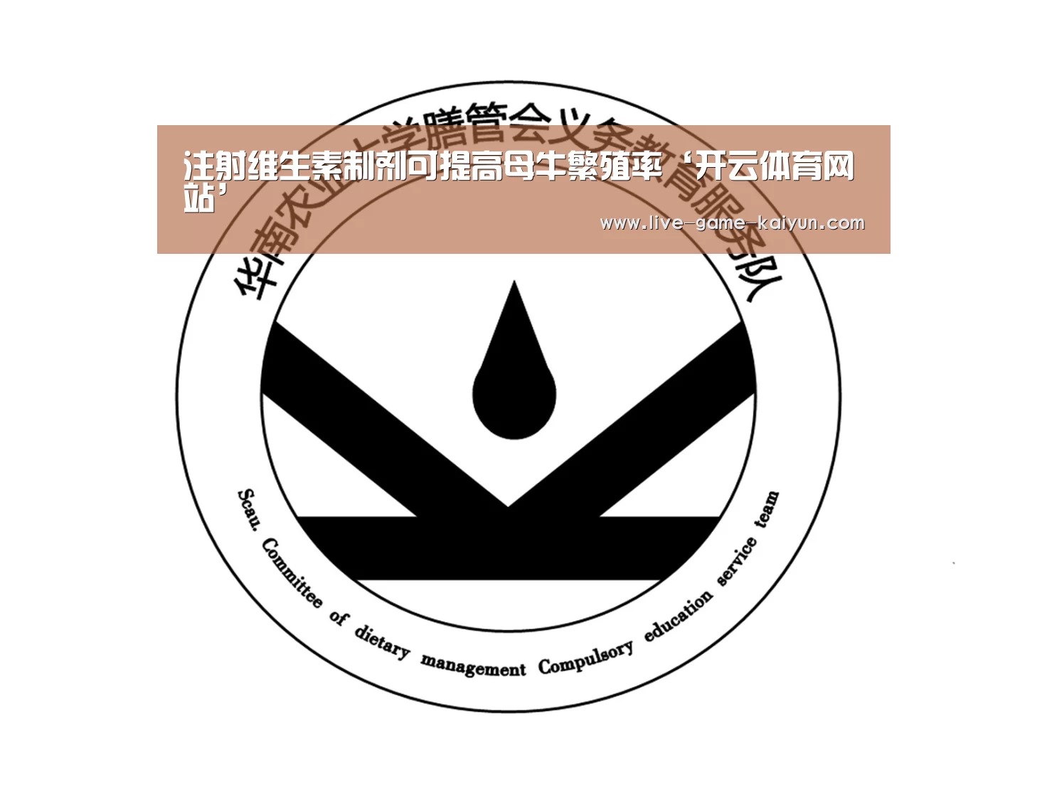 注射维生素制剂可提高母牛繁殖率‘开云体育网站’(图2) 开云体育官网