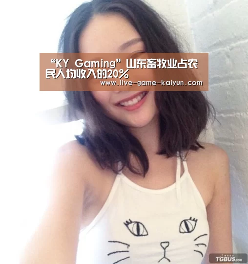 “KY Gaming”山东畜牧业占农民人均收入的20%(图4) 开元棋牌网址