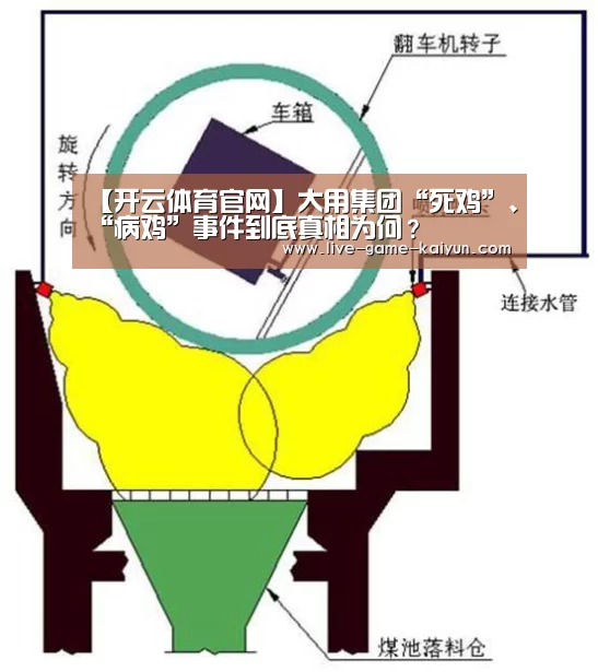 【开云体育官网】大用集团“死鸡”、“病鸡”事件到底真相为何?(图2) KY Gaming