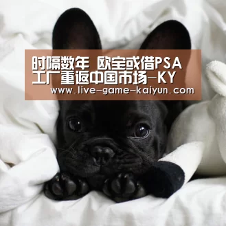 时隔数年 欧宝或借PSA工厂重返中国市场-KY Gaming(图1) 开元棋牌网址